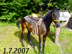 Demi 1.7.2007-Petřvaldik.gif