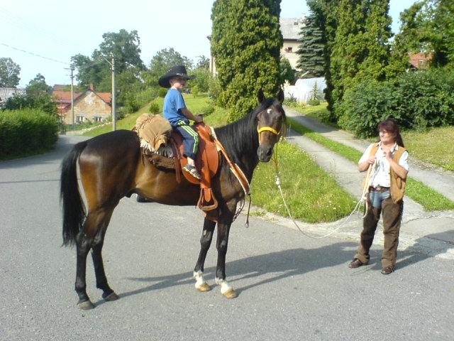 Odměna za péči