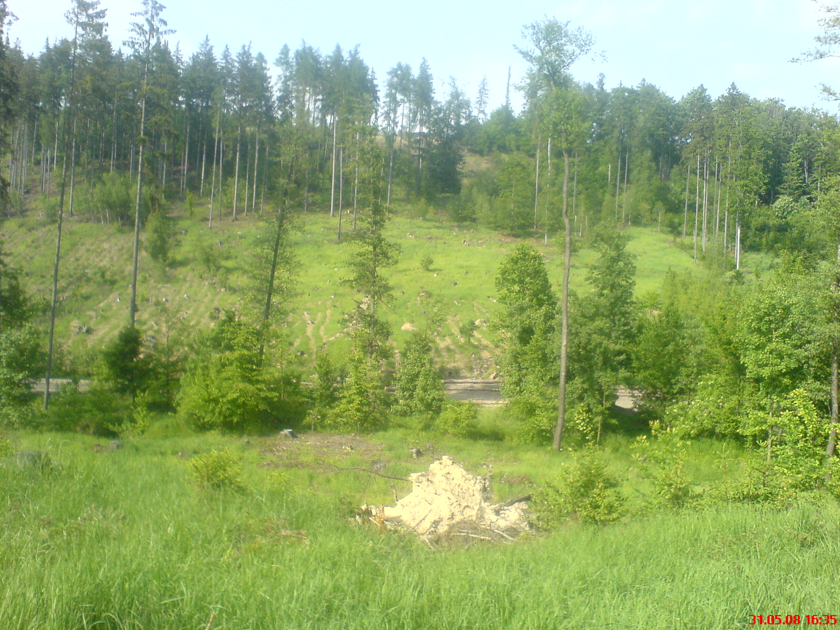 DSC00041.JPG