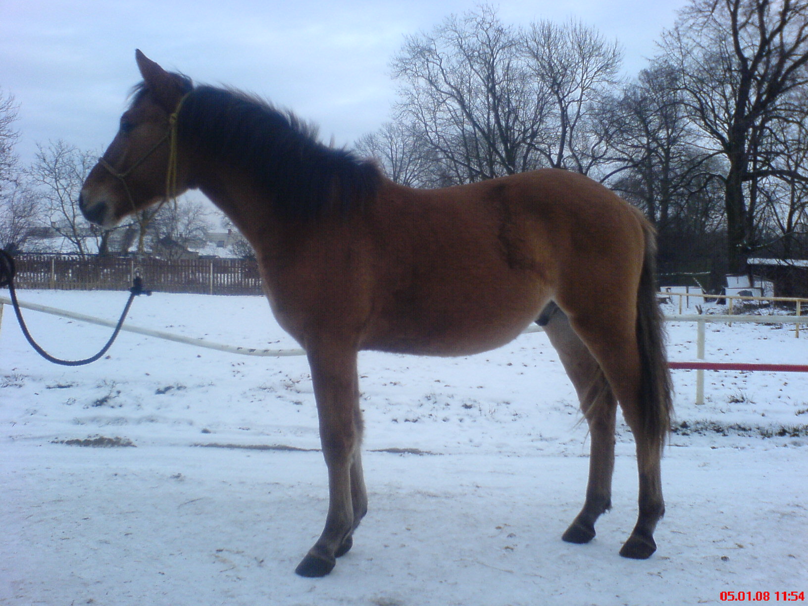 DSC00002.JPG