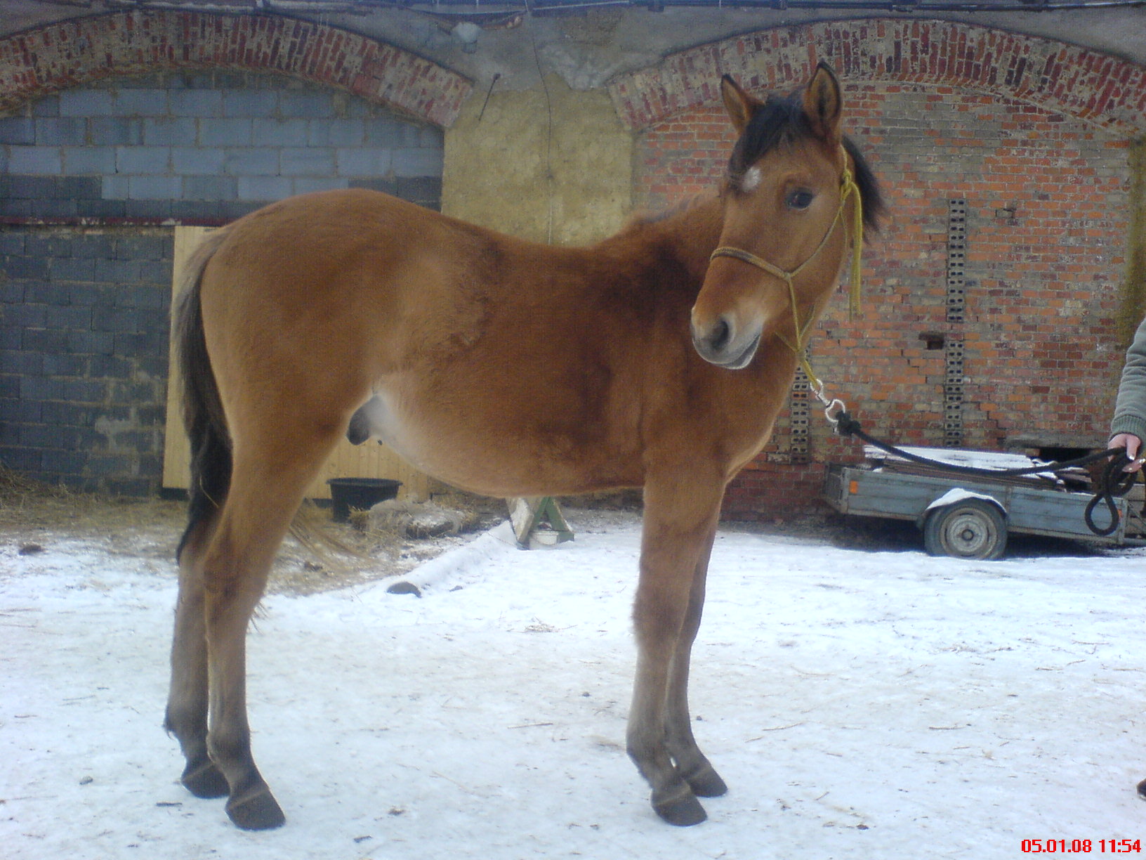 DSC00004.JPG