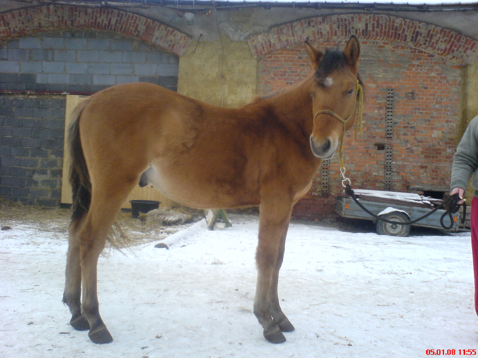 DSC00005.JPG