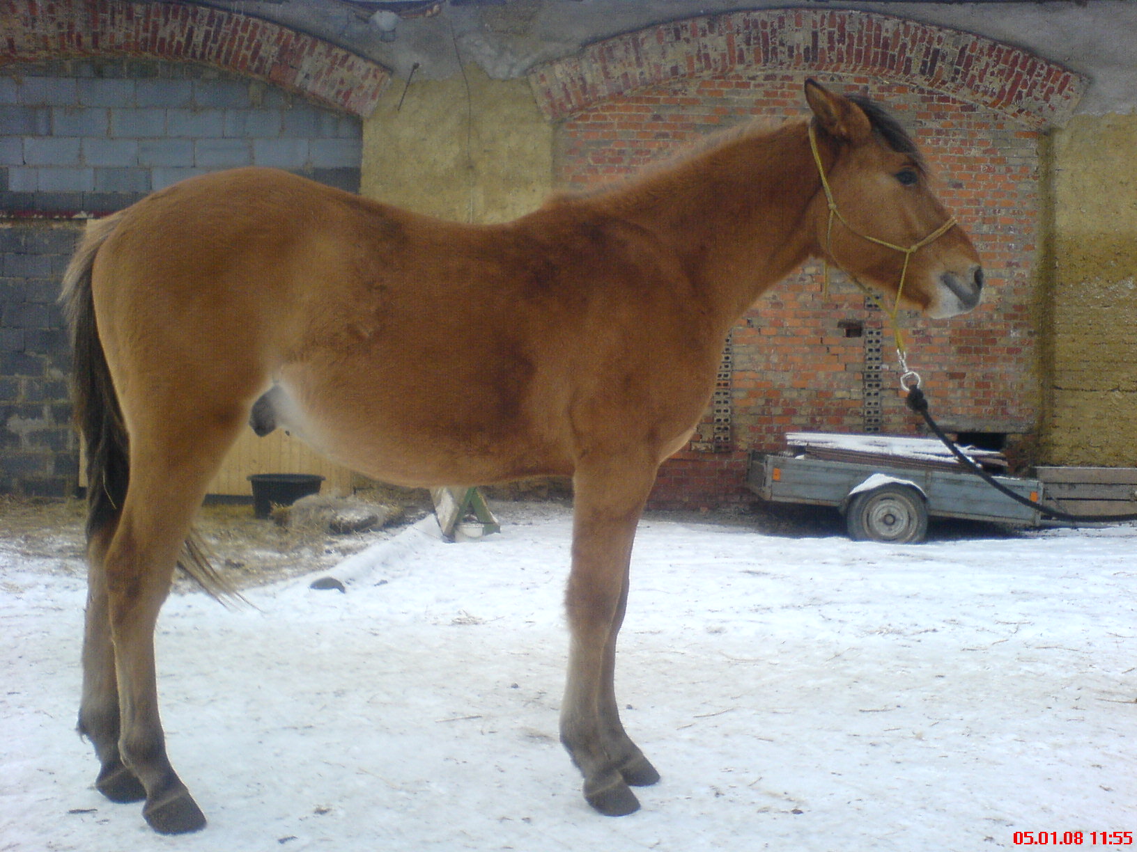 DSC00006.JPG