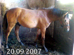 DSC00346.gif
