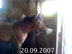 DSC00349.gif
