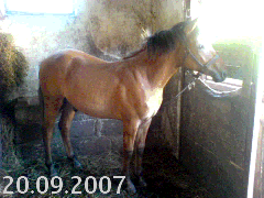 DSC00355.gif