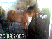 DSC00355.gif