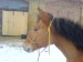 DSC00008000.JPG